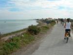 Vakantiehuizen op fietseiland Ile de R� in Fra